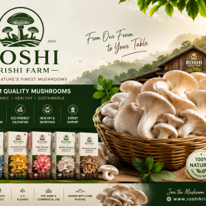 Oyster mushroom growing kit