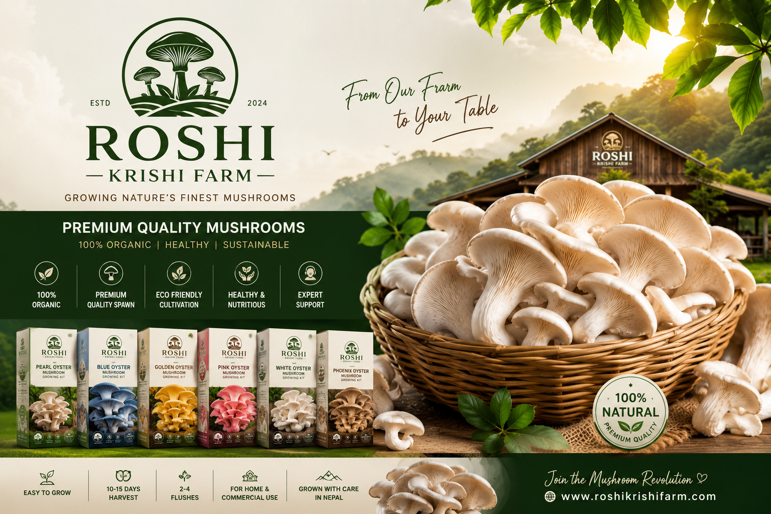 White Oyster Mushroom